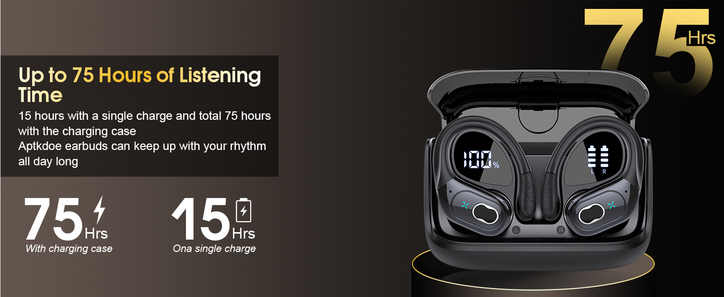 wireless bluetooth earbuds